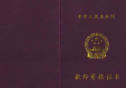 中小学教师资格证视频,视频课程深度解析