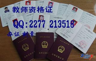 中小学教师资格证视频,视频课程深度解析