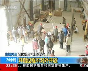 鸡配种视频,一窥家禽繁殖奥秘