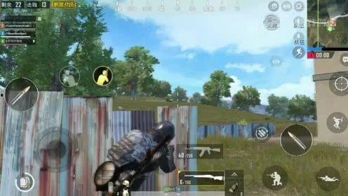 鸡配种视频,一窥家禽繁殖奥秘