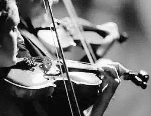 小提琴连顿弓教学视频,小提琴连顿弓技巧解析与实战演练