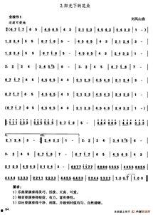 葫芦丝花儿香教学视频,轻松入门,感受民族音乐魅力