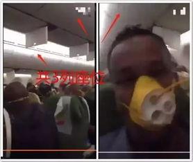 倪泽飞机视频,揭秘飞行器奥秘，探索科技前沿