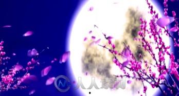 春江花月夜视频素材,诗意画卷中的江南风情