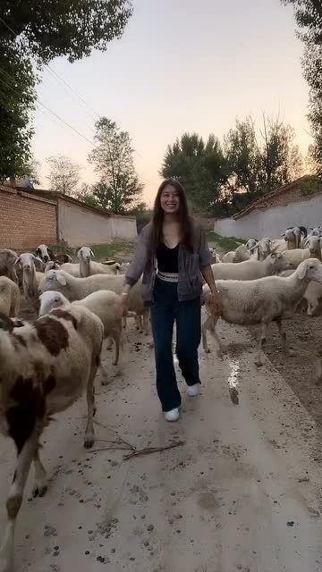 配羊视频在线观看,配羊视频带你领略田园风情