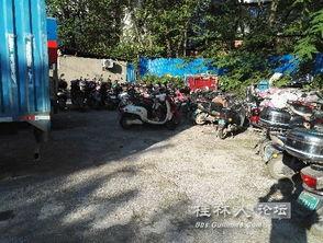 社会主义好城管视频