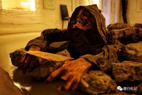 穿人皮视频,惊悚背后的真实故事